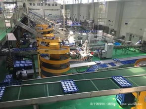 石家庄君乐宝优致牧场与酸奶工厂 亲子游学新体验，探索健康与快乐之源